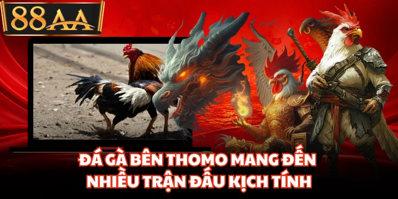 Đá Gà Bên Thomo Khiến Người Chơi Đứng Ngồi Khó Rời Mắt 3 Đá gà bên Thomo mang đến nhiều trận đấu kịch tính