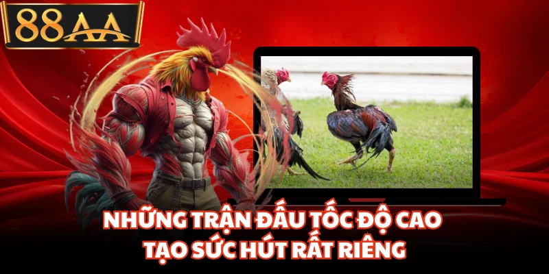 Đá Gà Bên Thomo Khiến Người Chơi Đứng Ngồi Khó Rời Mắt 2 Những trận đấu tốc độ cao tạo sức hút rất riêng