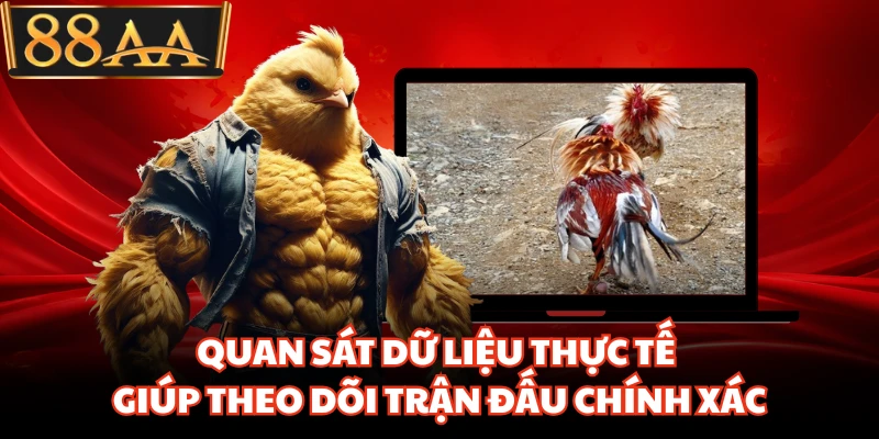 Đá Gà Bên Thomo Khiến Người Chơi Đứng Ngồi Khó Rời Mắt 4 Quan sát dữ liệu thực tế giúp theo dõi trận đấu chính xác